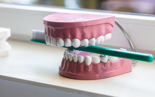 Evitar una enfermedad periodontal empieza por cuidar tus encías